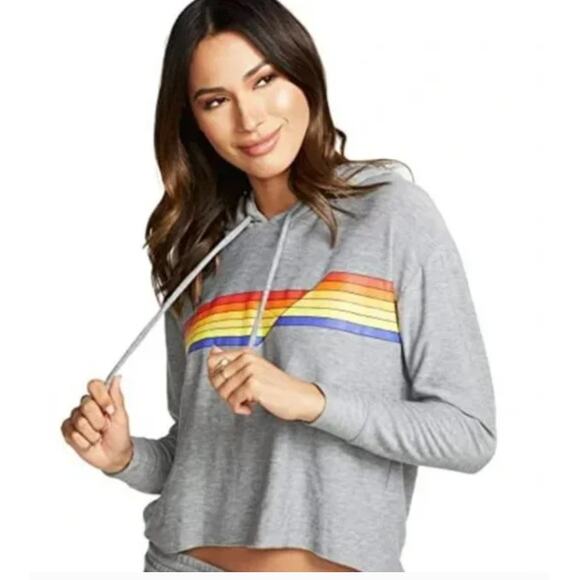 Chaser Gray Rainbow Stripe Cropped Pullover Hoodie - Medium - Picture 1 of 9